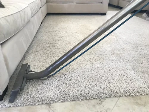 Carpet Cleaning / Limpieza de Alfombras
