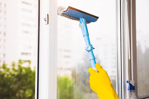 Window Cleaning / Limpieza de Ventanas